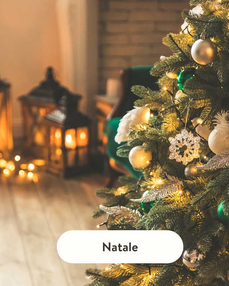 bottiglie-natale