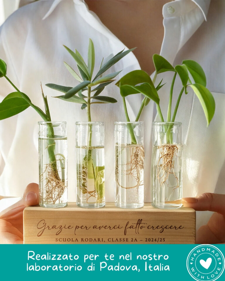 Vaso Per Avocado 2 Vasi Per La Coltivazione Di Semi Di Avocado, Vaso Idroponico Per Semi, Germogli Di Avocado, Vaso Per Coltivazione Idroponica, Vaso Di Propagazione Per Casa, Tavolo, Scrivania, Decorazione Per