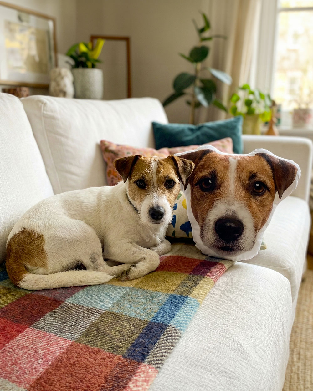 cuscino a forma di cane personalizzato con foto del cane - idea regalo per amanti dei cani