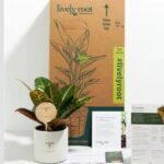 White Modern Skincare Product Listing Amazon Product Image 5